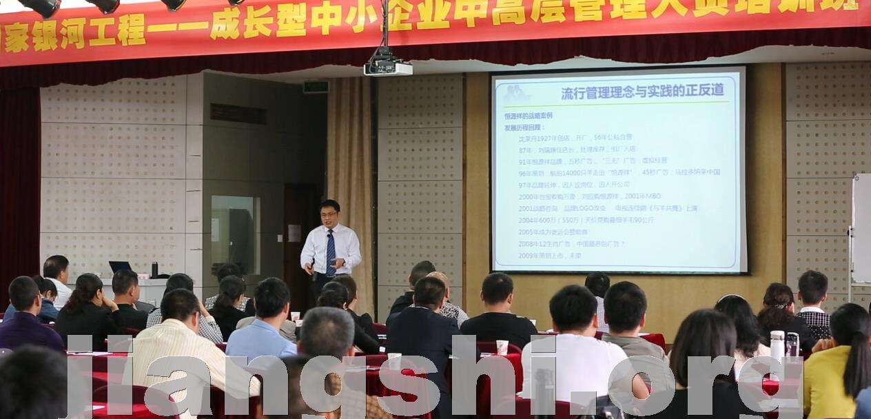 企业盈利与持续增长